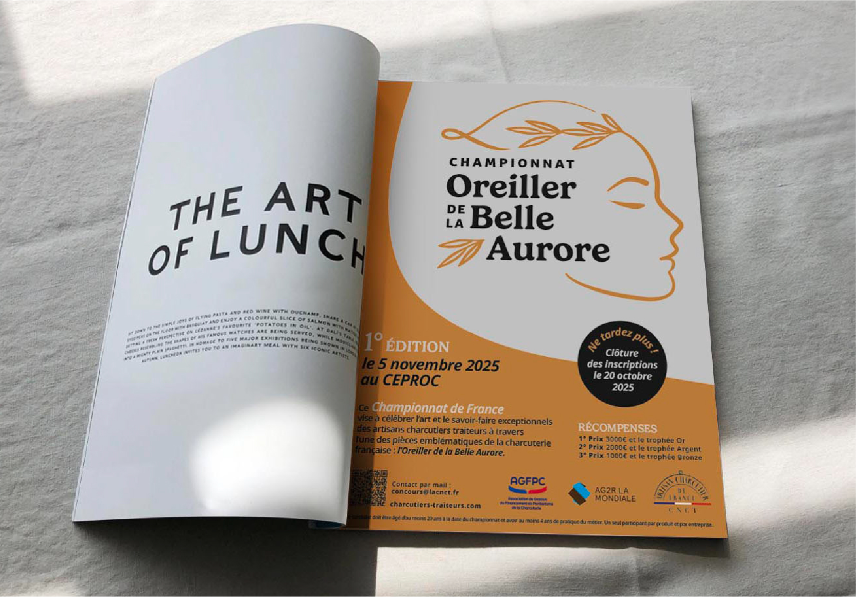 Annonce Presse Oreiller de la belle aurore par les gauchers studio