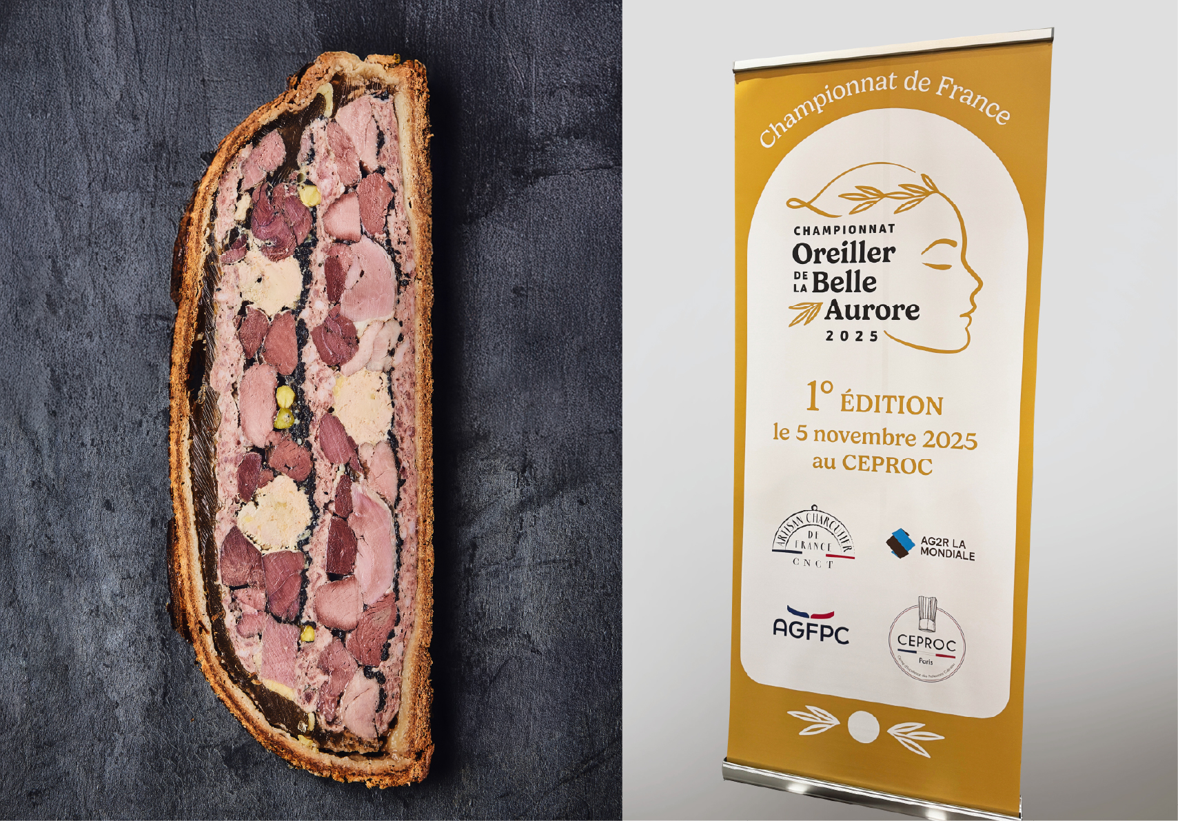 Supports de communication suite Oreiller de la belle aurore par les gauchers studio